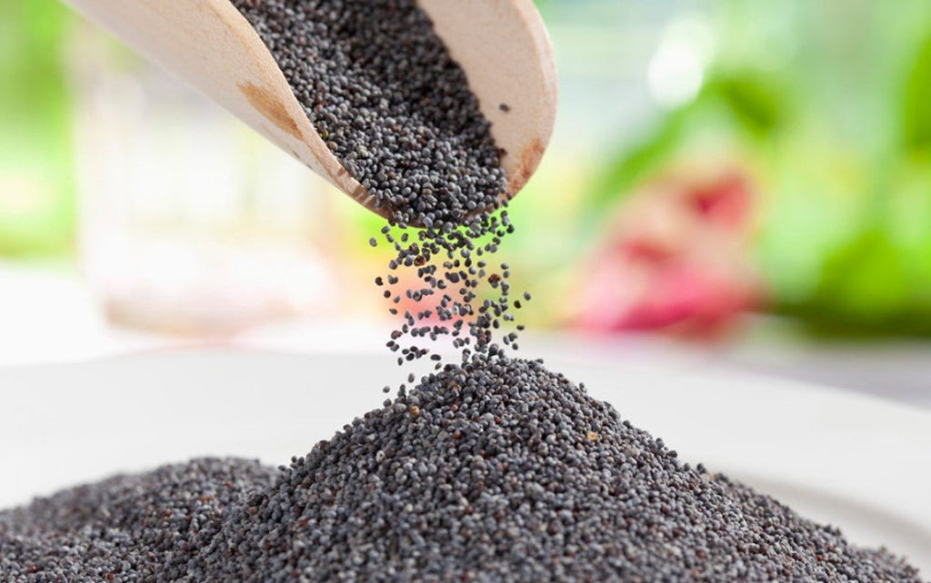 Where to Buy Poppy Seeds Canada