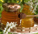 Acacia Honey | 7Bahar | 500g - TurkishMart