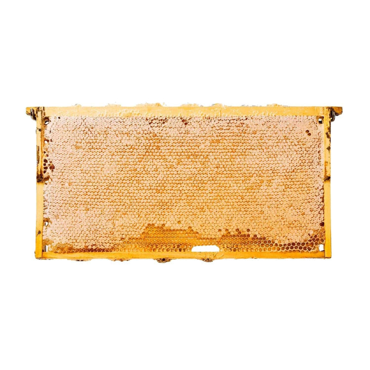 Comb Honey with Wood Frame - TurkishMart