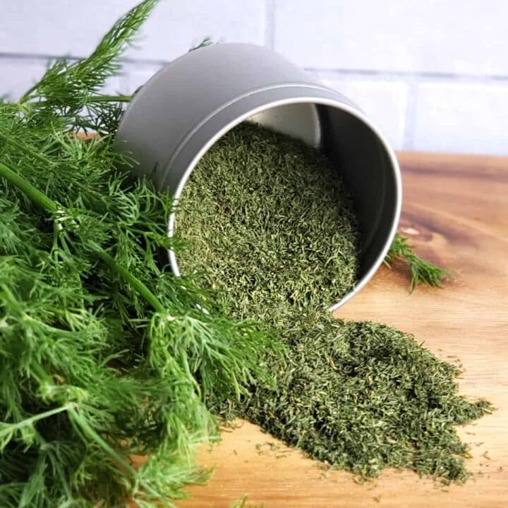 Dill | Dereotu | Basak | 90g - TurkishMart