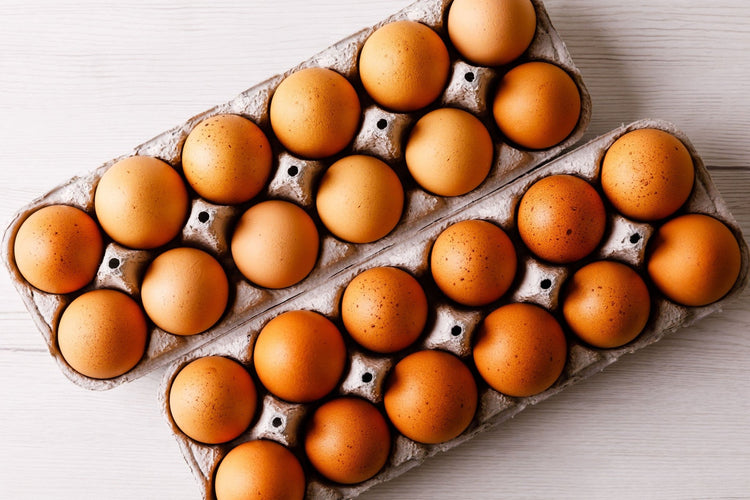 free range eggs organik yumurta 12 pk 9