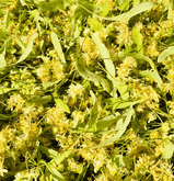 Linden Tea 100g