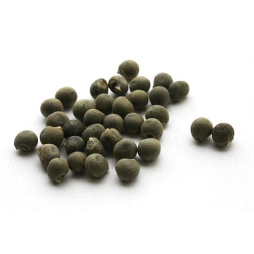 Okra Seeds | Orsini | 80g - TurkishMart
