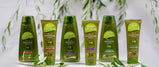 Olive Oil Shampoo | Dalan | 400ml - TurkishMart