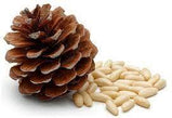 Pine Nuts | 100g - TurkishMart