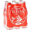 Uludag Legendary Pop | Efsane Gazoz | 6 pck - TurkishMart