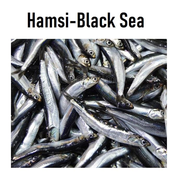 Hamsi Black Sea Frozen Anchovies Pinar 650g