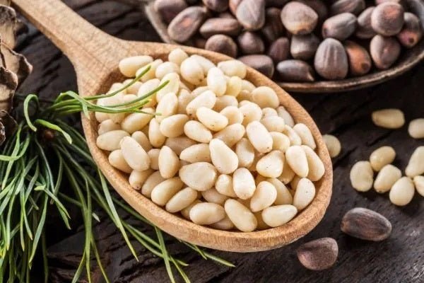 Health Benefits of Pine Nuts and Nutritional Profile