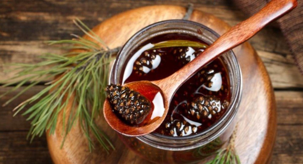 Indulge in the Delicious Pine Cone Jam Available in Toronto