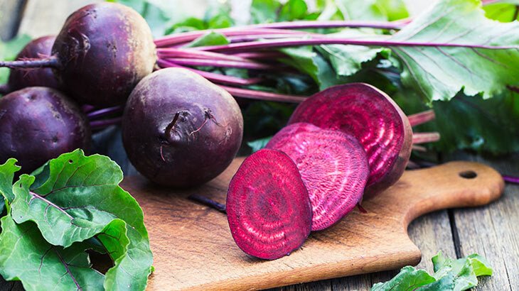 Pancar Toronto: Exploring Nutritious Delight