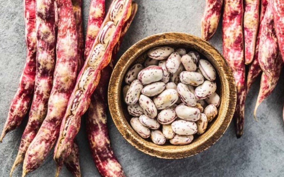 Where to Find Barbunya in Toronto