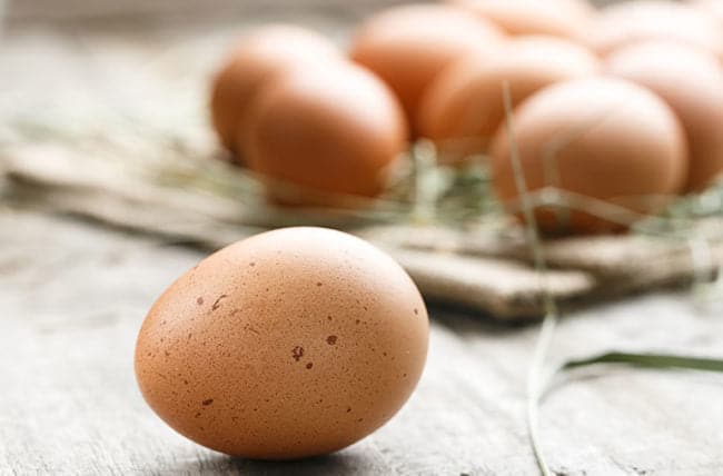 Where to Find Free Range Eggs in Toronto