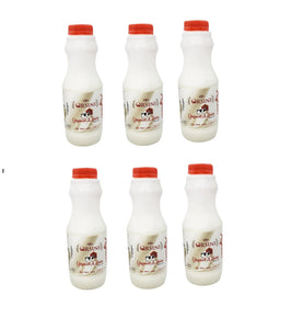 Ayran | Lassi | Orsini Yogurt drink | 6 x 500ml