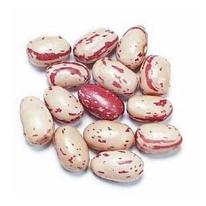 Borlotti Beans Canada | Campagna | 400g