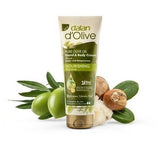 Dalan Olive Oil Soap| Antique Daphne | Pack of 6 - TurkishMart