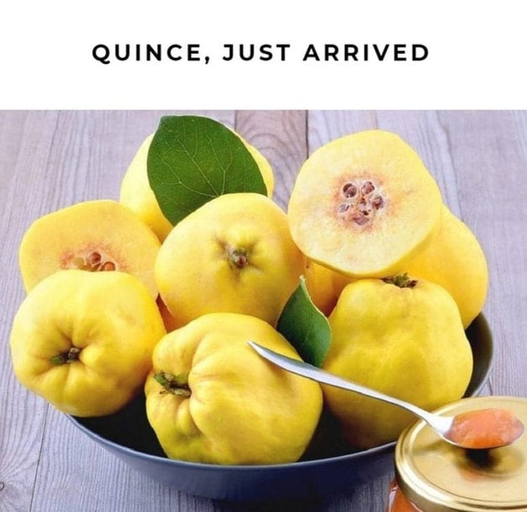 Fresh Premium Quince - Ayva (available only for brief periods - TurkishMart