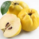 Fresh Premium Quince - Ayva (available only for brief periods - TurkishMart