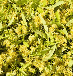 Linden Tea | 100g
