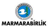Olives for sale near me | Marmarabirlik XS | 800g - TurkishMart