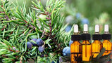 Turkishmart Juniper Essential Oil 
